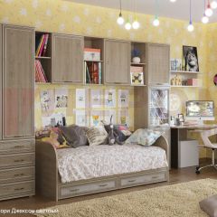 Детская Карина композиция 1 (Гикори Джексон светлый) в Александровском - alexsandrovskoe.mebel24.online | фото