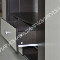 Гостиная Аллегро вариант-3 (Венге/Белфорт) в Александровском - alexsandrovskoe.mebel24.online | фото 4