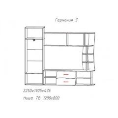 Гостиная ГАРМОНИЯ-3 (ЦРК.ГРМ.03) в Александровском - alexsandrovskoe.mebel24.online | фото 2