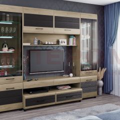 Гостиная Камелия Композиция 11 (Гикори Джексон светлый комбинированный) в Александровском - alexsandrovskoe.mebel24.online | фото