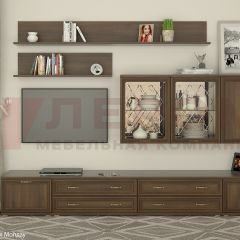 Гостиная Карина Композиция 10 (Акация Молдау) в Александровском - alexsandrovskoe.mebel24.online | фото