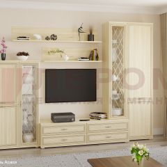 Гостиная Карина Композиция 12 (Ясень Асахи) в Александровском - alexsandrovskoe.mebel24.online | фото