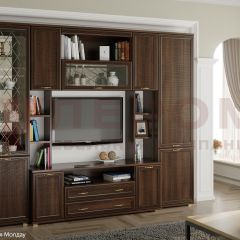 Гостиная Карина Композиция 2 (Акация Молдау) в Александровском - alexsandrovskoe.mebel24.online | фото