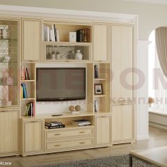 Гостиная Карина Композиция 2 (Ясень Асахи) в Александровском - alexsandrovskoe.mebel24.online | фото