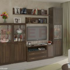 Гостиная Карина Композиция 22 (Акация Молдау) в Александровском - alexsandrovskoe.mebel24.online | фото