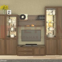 Гостиная Карина Композиция 24 (Акация Молдау) в Александровском - alexsandrovskoe.mebel24.online | фото