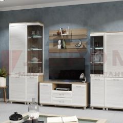 Гостиная Мелисса Композиция 5 (корпус Ясень Асахи, фасад Снежный ясень) в Александровском - alexsandrovskoe.mebel24.online | фото 2