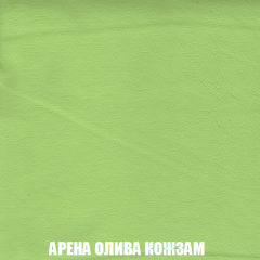 Кресло-кровать Акварель 1 (ткань до 300) БЕЗ Пуфа в Александровском - alexsandrovskoe.mebel24.online | фото 19