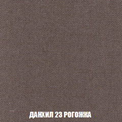 Кресло-кровать Акварель 1 (ткань до 300) БЕЗ Пуфа в Александровском - alexsandrovskoe.mebel24.online | фото 61