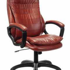 Кресло офисное BRABIX PREMIUM "Omega EX-589", экокожа, коричневое, 532096 в Александровском - alexsandrovskoe.mebel24.online | фото