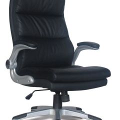 Кресло офисное BRABIX "Fregat EX-510" (рециклированная кожа, черное) 530863 в Александровском - alexsandrovskoe.mebel24.online | фото 1