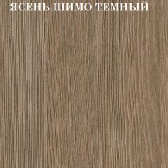 Кровать 2-х ярусная с диваном Карамель 75 (Газета) Ясень шимо светлый/темный в Александровском - alexsandrovskoe.mebel24.online | фото 5