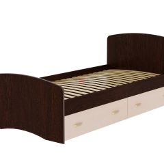 Кровать-6 одинарная с 2-мя ящиками (900*2000) в Александровском - alexsandrovskoe.mebel24.online | фото 5