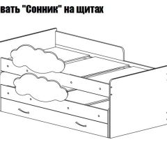 Кровать выкатная Соник (800*1900) в Александровском - alexsandrovskoe.mebel24.online | фото 2