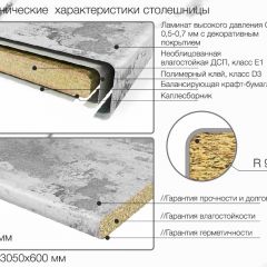 Кухонный фартук со столешницей (А-01) в едином стиле (3050 мм) в Александровском - alexsandrovskoe.mebel24.online | фото 6