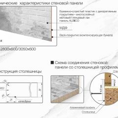 Кухонный фартук со столешницей (А-015) в едином стиле (3050 мм) в Александровском - alexsandrovskoe.mebel24.online | фото 7