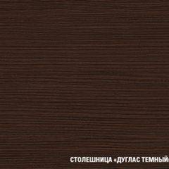 Кухонный гарнитур Полина стандарт 1600 в Александровском - alexsandrovskoe.mebel24.online | фото 12