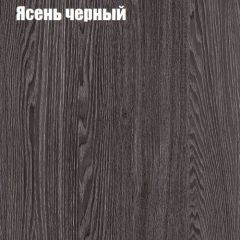 Прихожая ДИАНА-4 сек №29 (Ясень анкор/Дуб эльза) в Александровском - alexsandrovskoe.mebel24.online | фото 3