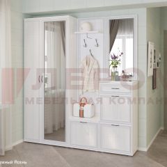 Прихожая Карина композиция 1 (Снежный ясень) в Александровском - alexsandrovskoe.mebel24.online | фото