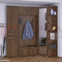 Прихожая Карина композиция 3 (Акация Молдау) в Александровском - alexsandrovskoe.mebel24.online | фото