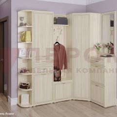 Прихожая Карина композиция 5 (Ясень Асахи) в Александровском - alexsandrovskoe.mebel24.online | фото