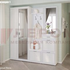 Прихожая Карина (модульная) в Александровском - alexsandrovskoe.mebel24.online | фото 3