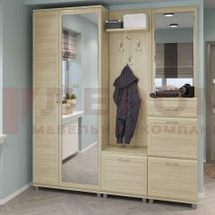 Прихожая Мелисса композиция 1 (Ясень Асахи) в Александровском - alexsandrovskoe.mebel24.online | фото