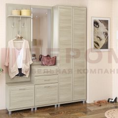 Прихожая Мелисса композиция 11 (Ясень Асахи) в Александровском - alexsandrovskoe.mebel24.online | фото