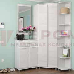 Прихожая Мелисса композиция 7 (Снежный Ясень) в Александровском - alexsandrovskoe.mebel24.online | фото