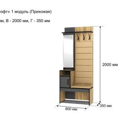 ОЛЬГА-ЛОФТ 1 Прихожая в Александровском - alexsandrovskoe.mebel24.online | фото 4