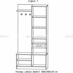Прихожая София 1 в Александровском - alexsandrovskoe.mebel24.online | фото 3
