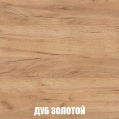 Шкаф 2-х створчатый МСП-1 (Дуб Золотой/Камень темный) в Александровском - alexsandrovskoe.mebel24.online | фото 4
