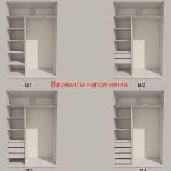Шкаф-купе 1300 серии SILVER S3+S4+B2+PL4 (2 ящика+F обр.штанга) профиль «Серебро» в Александровском - alexsandrovskoe.mebel24.online | фото 5