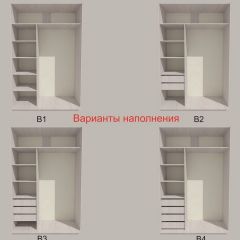 Шкаф-купе 1500 серии SILVER S1+S1+B2+PL2 (2 ящика+1 штанга+1 полка) профиль «Серебро» в Александровском - alexsandrovskoe.mebel24.online | фото 5