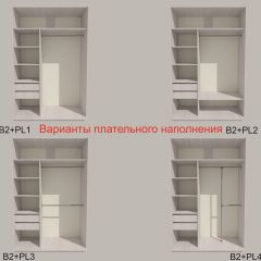 Шкаф-купе 1500 серии SILVER S1+S1+B2+PL2 (2 ящика+1 штанга+1 полка) профиль «Серебро» в Александровском - alexsandrovskoe.mebel24.online | фото 6