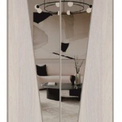 Шкаф-купе 1500 серии SILVER S1+S1+B2+PL2 (2 ящика+1 штанга+1 полка) профиль «Серебро» в Александровском - alexsandrovskoe.mebel24.online | фото 12
