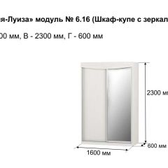 Шкаф-купе 1600 с зеркалом "Мария-Луиза 6.16" в Александровском - alexsandrovskoe.mebel24.online | фото 4