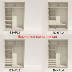Шкаф-купе 1600 серии SOFT D1+D3+B2+PL1 (2 ящика+1штанга) профиль «Графит» в Александровском - alexsandrovskoe.mebel24.online | фото 5