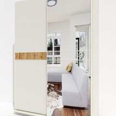 Шкаф-купе 1600 серии SOFT D6+D4+B2+PL2 (2 ящика+1штанга+1 полка) профиль «Капучино» в Александровском - alexsandrovskoe.mebel24.online | фото 2