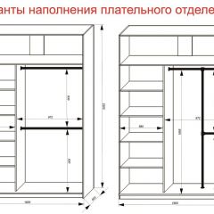 Шкаф-купе 1600 серии SOFT D6+D4+B2+PL2 (2 ящика+1штанга+1 полка) профиль «Капучино» в Александровском - alexsandrovskoe.mebel24.online | фото 9