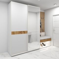 Шкаф-купе 1600 серии SOFT D6+D4+B2+PL2 (2 ящика+1штанга+1 полка) профиль «Капучино» в Александровском - alexsandrovskoe.mebel24.online | фото 5