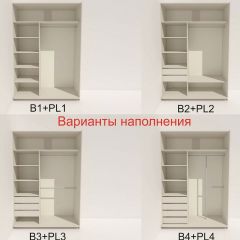 Шкаф-купе 1600 серии SOFT D6+D4+B2+PL2 (2 ящика+1штанга+1 полка) профиль «Капучино» в Александровском - alexsandrovskoe.mebel24.online | фото 7