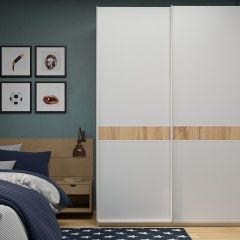 Шкаф-купе 1600 серии SOFT D6+D6+B2+PL3 (2 ящика+2штанги) профиль «Капучино» в Александровском - alexsandrovskoe.mebel24.online | фото 5