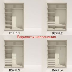 Шкаф-купе 1600 серии SOFT D6+D6+B2+PL3 (2 ящика+2штанги) профиль «Капучино» в Александровском - alexsandrovskoe.mebel24.online | фото 6