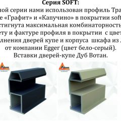 Шкаф-купе 1600 серии SOFT D6+D6+B2+PL3 (2 ящика+2штанги) профиль «Капучино» в Александровском - alexsandrovskoe.mebel24.online | фото 12