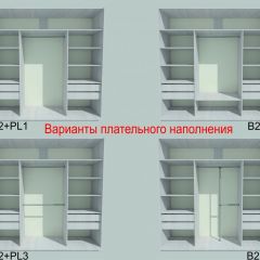 Шкаф-купе 1950 серии SILVER S3+S1+S4 B22+PL3 (по 2 ящика лев/прав+2 штанги) профиль «Серебро» в Александровском - alexsandrovskoe.mebel24.online | фото 6