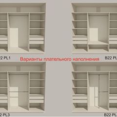 Шкаф-купе 2100 серии SOFT D5+D5+D5+B22+PL4 (по 2 ящика лев/прав+2штанги) профиль «Графит» в Александровском - alexsandrovskoe.mebel24.online | фото 4