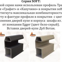 Шкаф-купе 2100 серии SOFT D7+D3+D3+B22+PL4 (по 2 ящика лев/прав+2штанги) профиль «Капучино» в Александровском - alexsandrovskoe.mebel24.online | фото 13