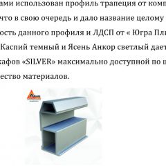 Шкаф-купе 2250 серии SILVER S5+S5+S5 B22+PL4 (по 2 ящика лев/прав+F обр.штанга) профиль «Серебро» в Александровском - alexsandrovskoe.mebel24.online | фото 4