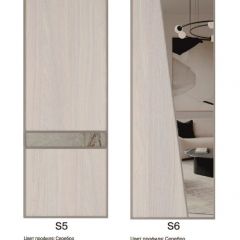 Шкаф-купе 2250 серии SILVER S5+S5+S5 B22+PL4 (по 2 ящика лев/прав+F обр.штанга) профиль «Серебро» в Александровском - alexsandrovskoe.mebel24.online | фото 14